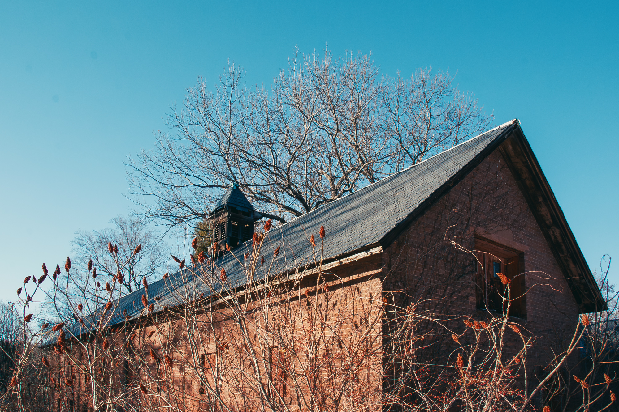 Northampton State Hospital piggery.