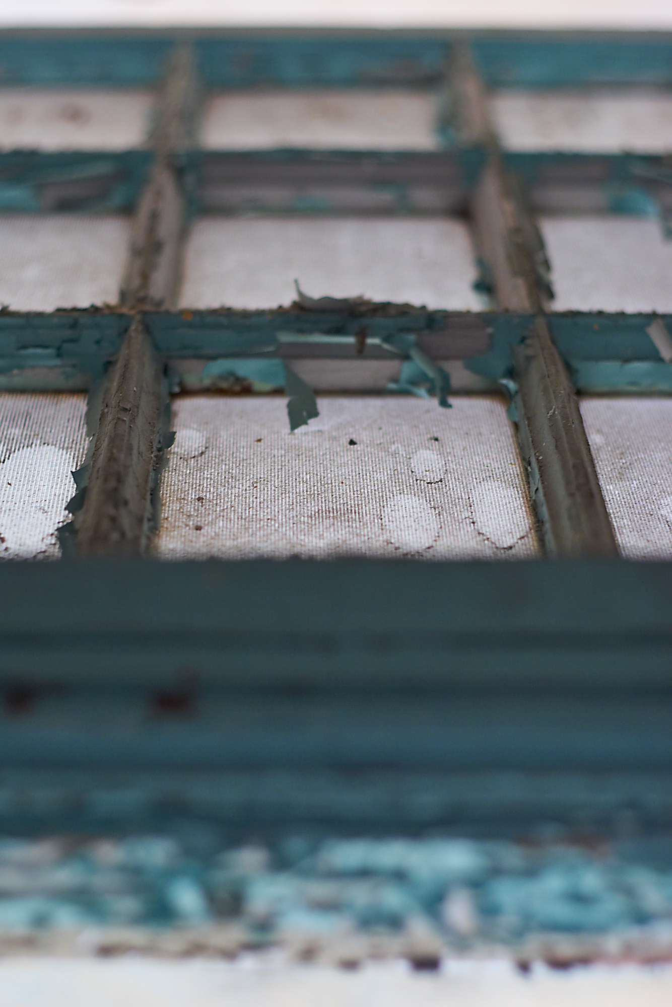 Closeup of window screen at Northampton State Hospital