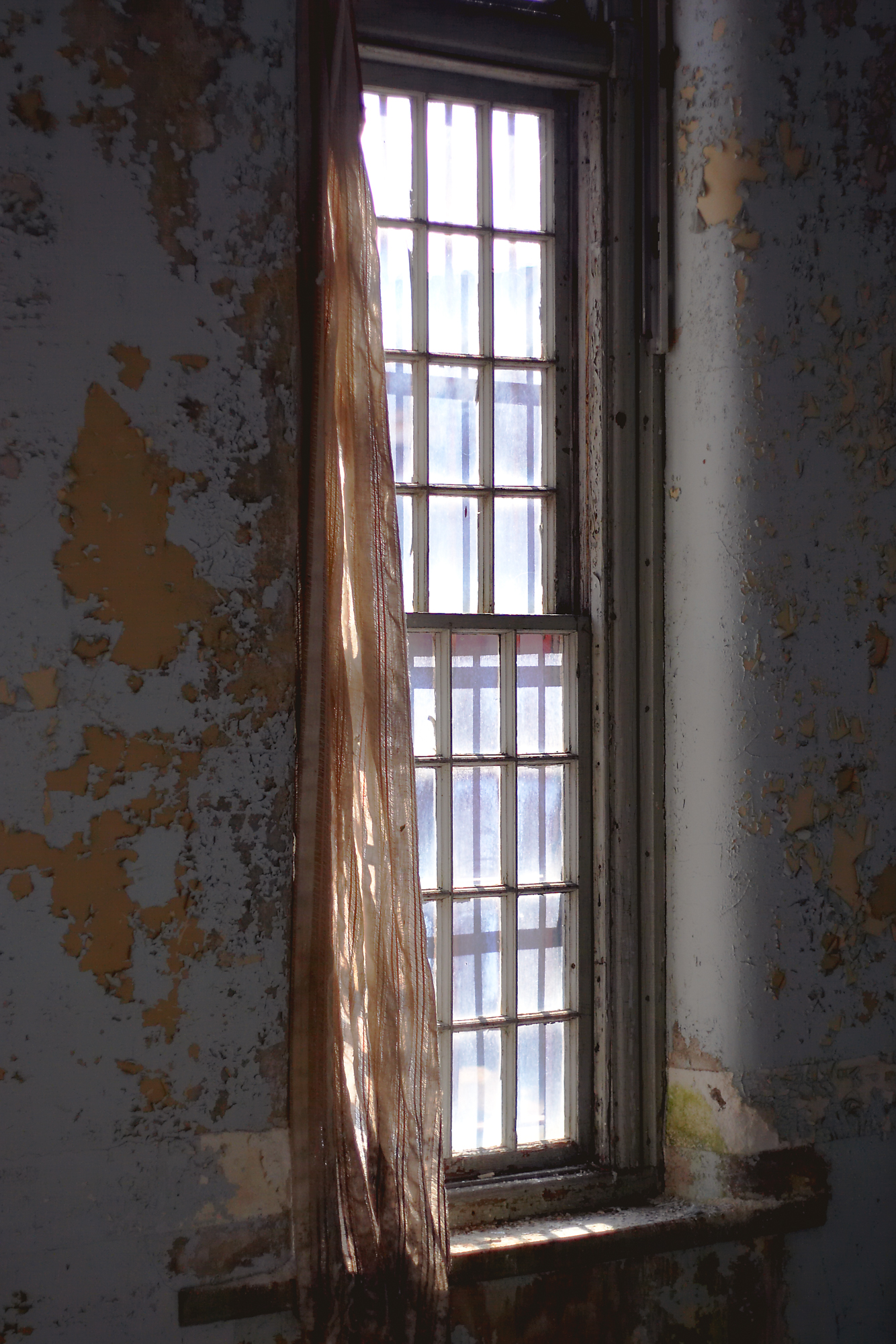 Window with ragged curtain at Northampton State Hospital.