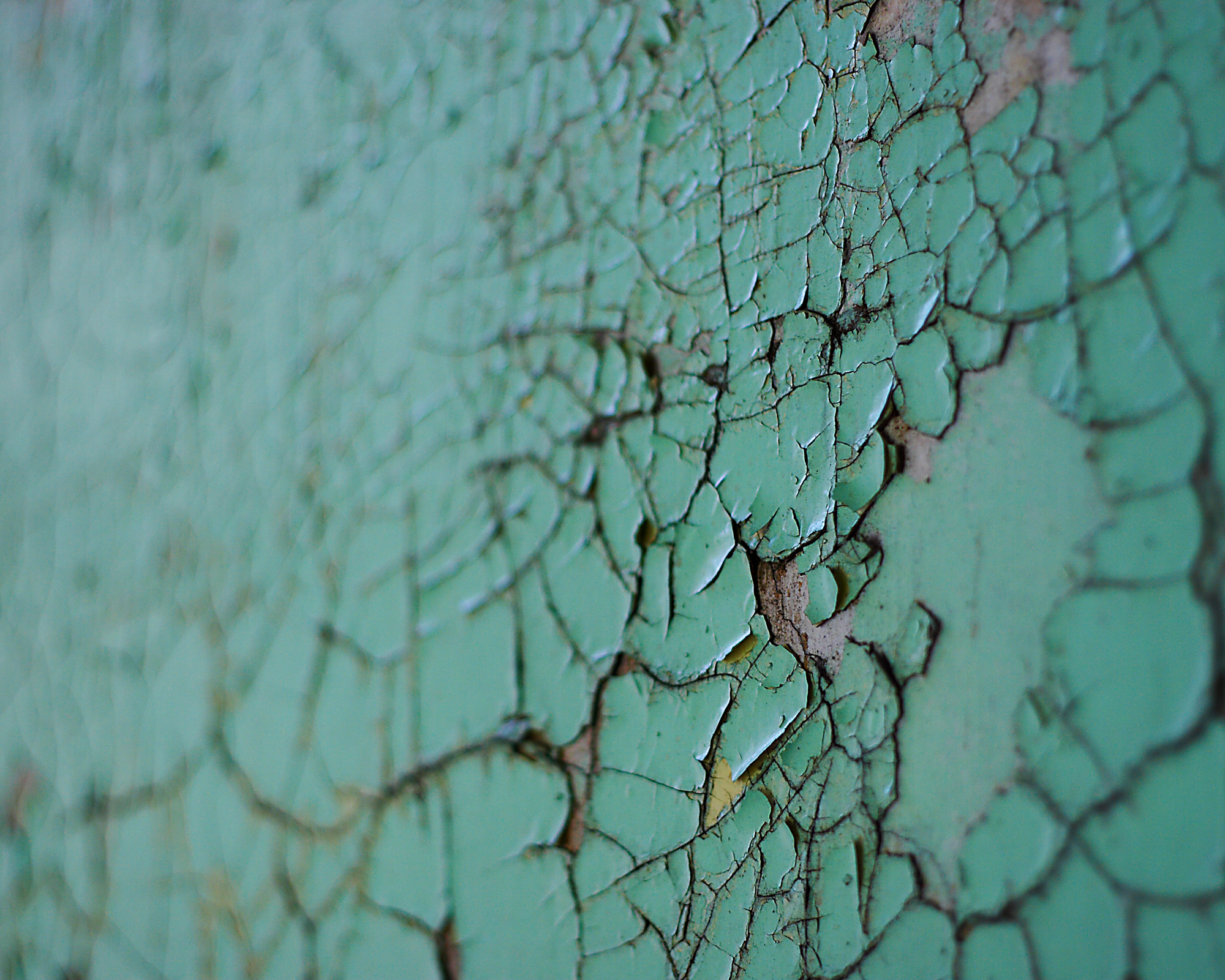 Hospital green peeling paint at Northampton State Hospital