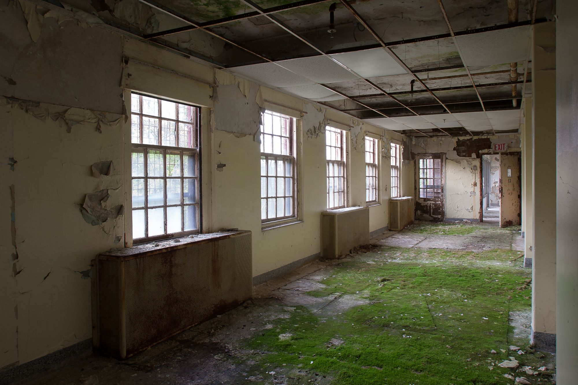 Ward in the Memorial Complex of Northampton State Hospital with moss growing on the ground