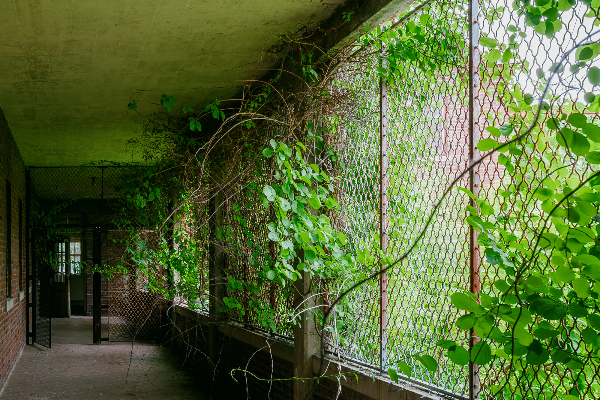Northampton State Hospital Memorial Complex – June 17, 2006