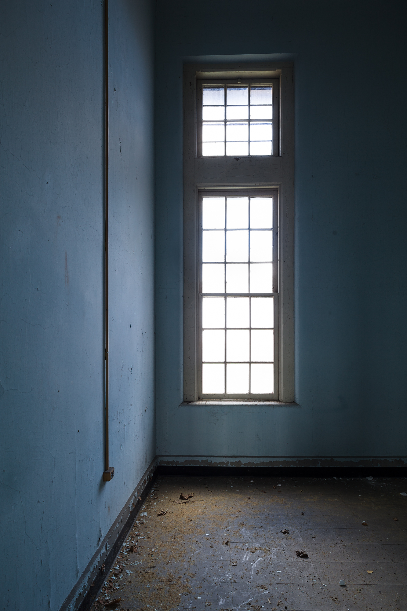 Window at Buffalo State Hospital