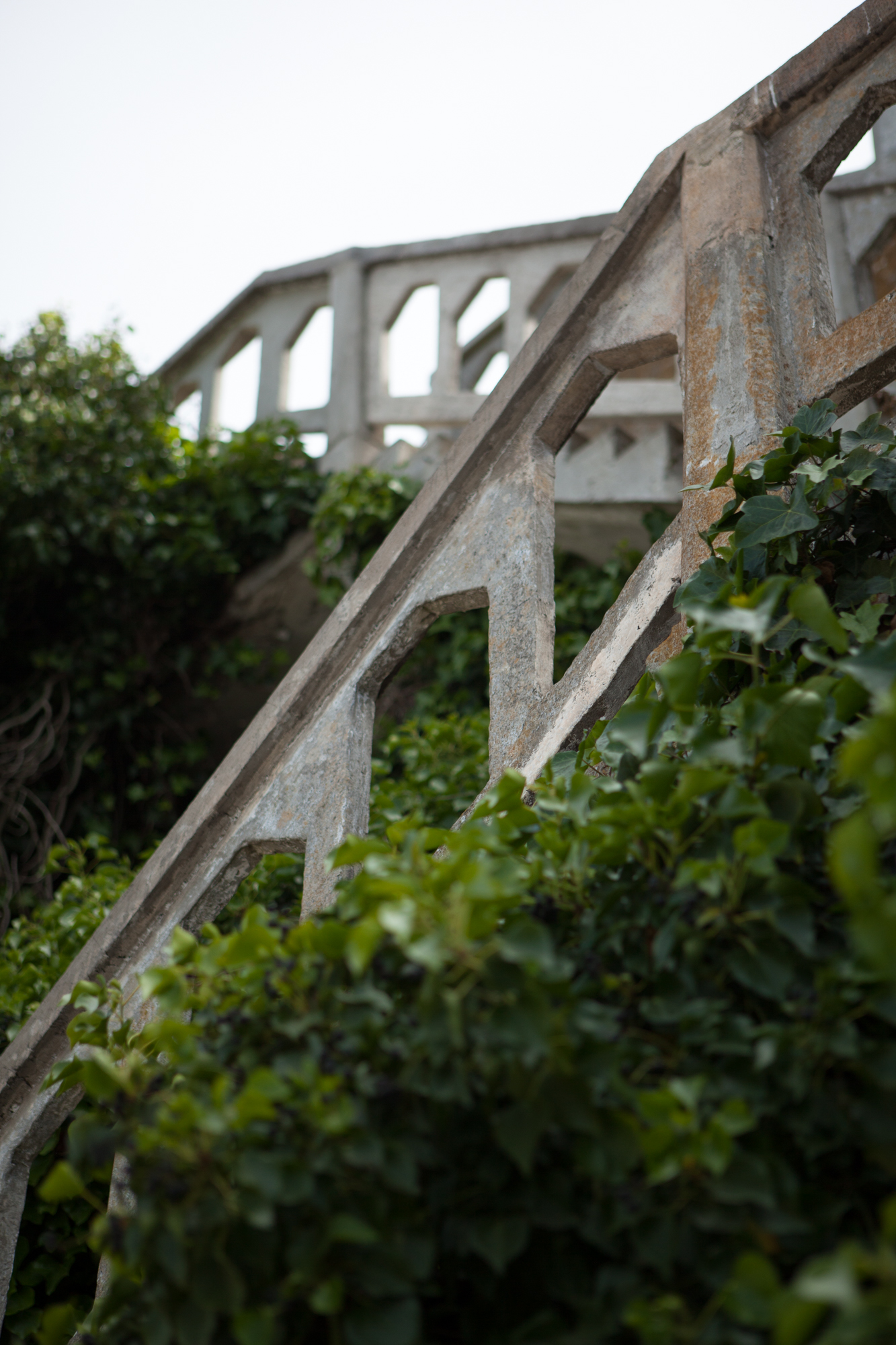 Stairs and bushes at Alcatraz Federal Penitentiary