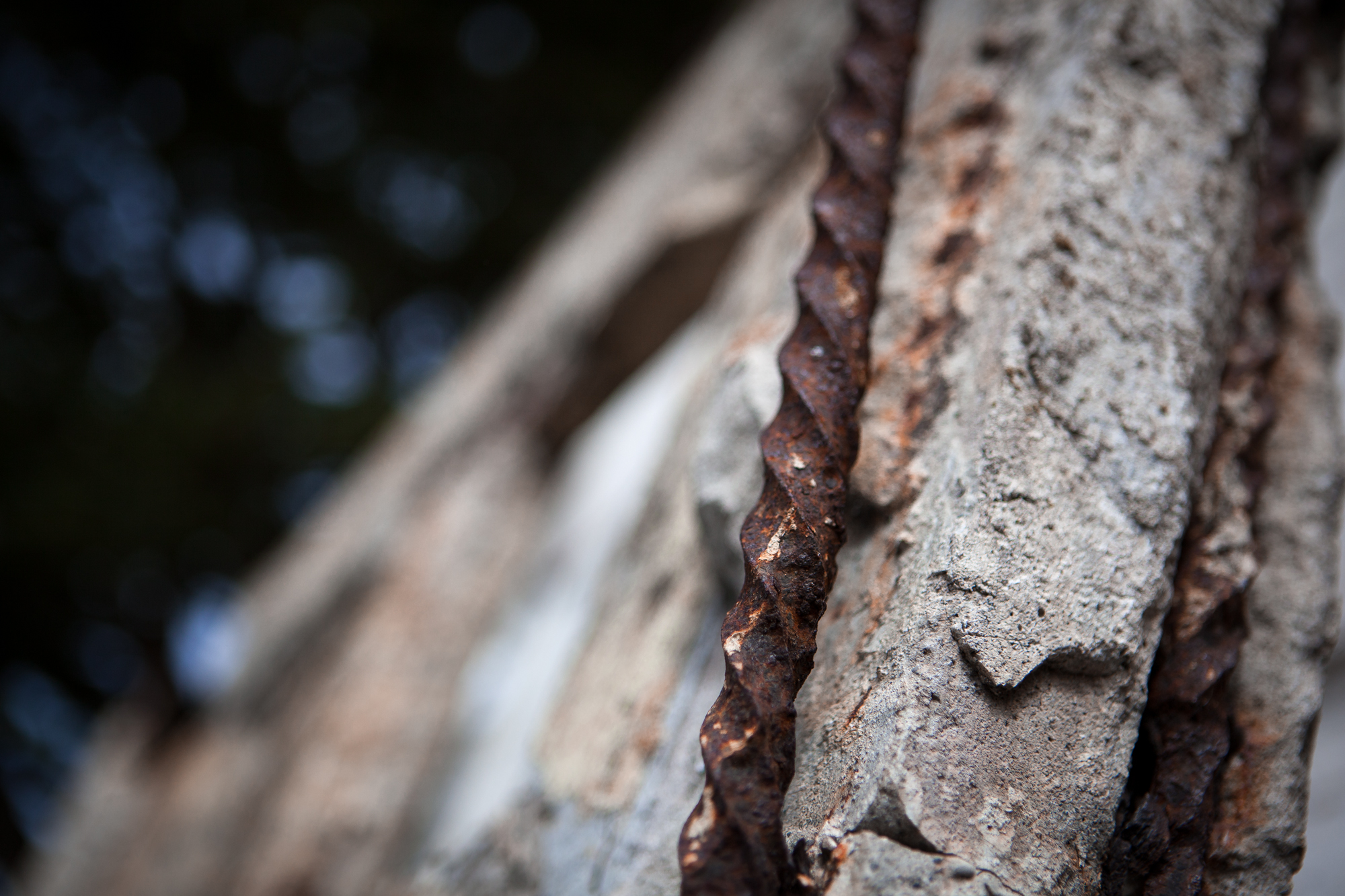 Decay at Alcatraz Federal Penitentiary