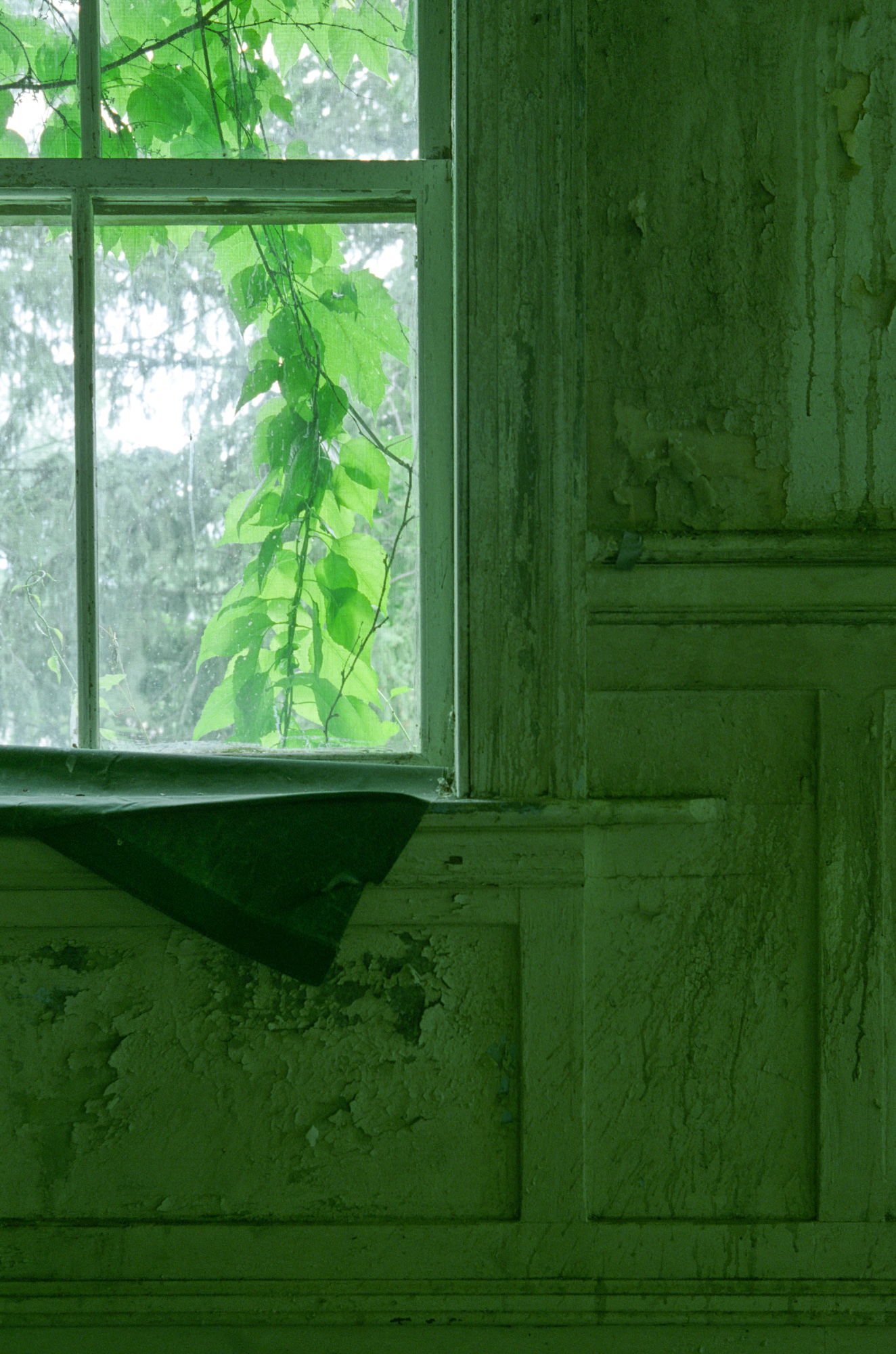 Detail in male attendants residence at Northampton State Hospital