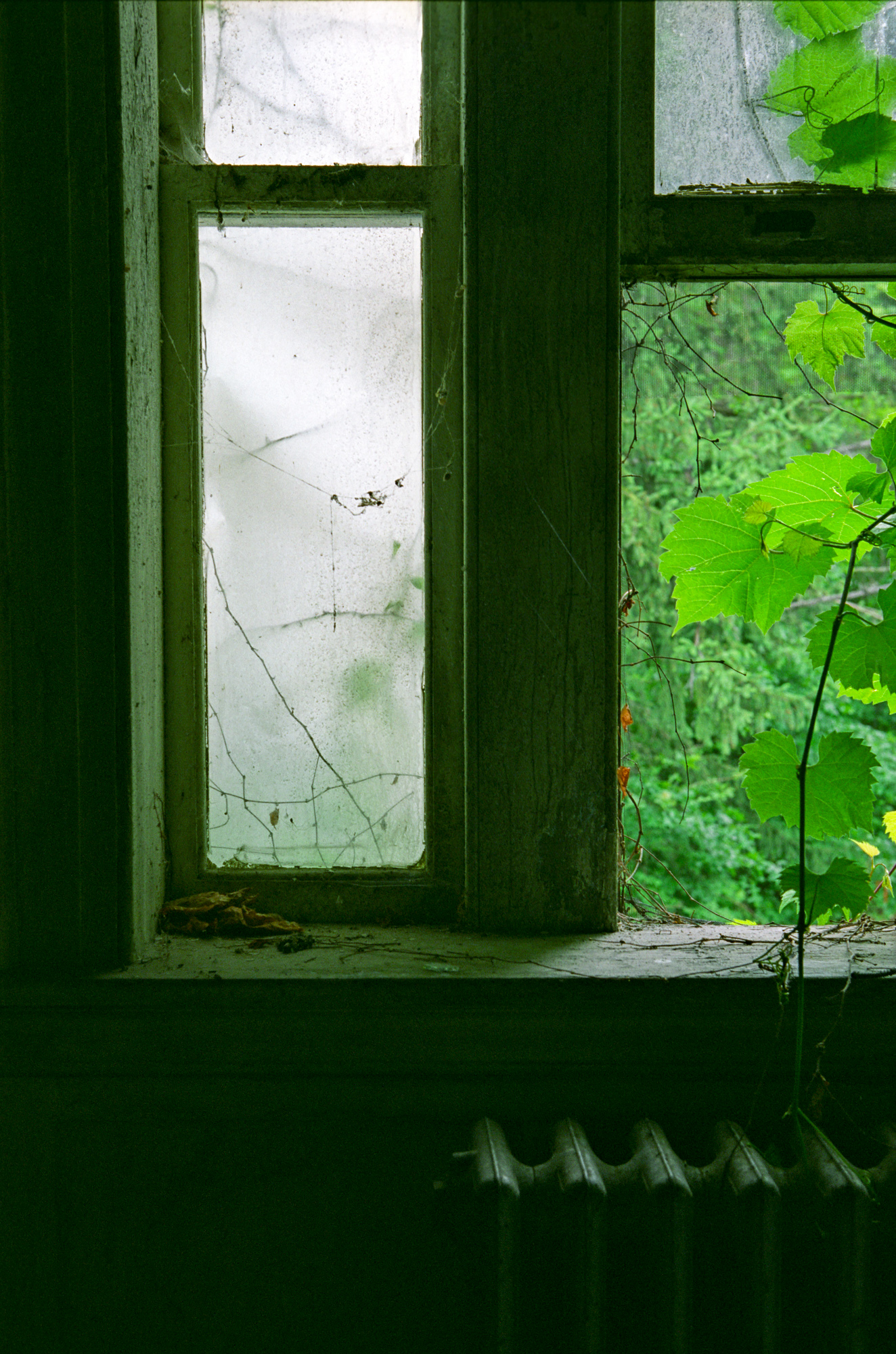 Detail in male attendants residence at Northampton State Hospital