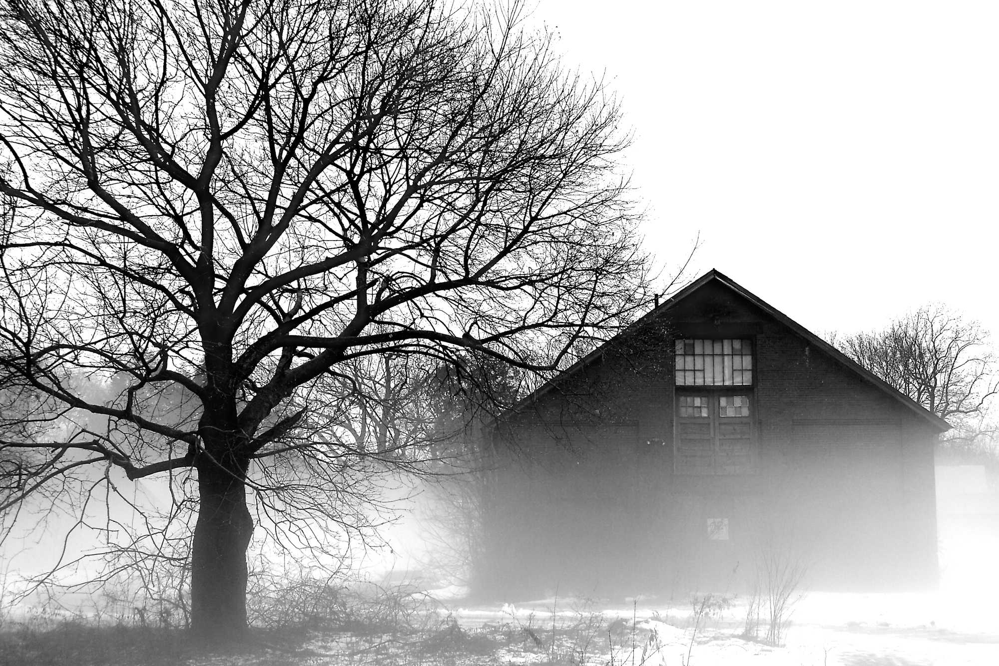 Northampton State Hospital – January 14, 2006