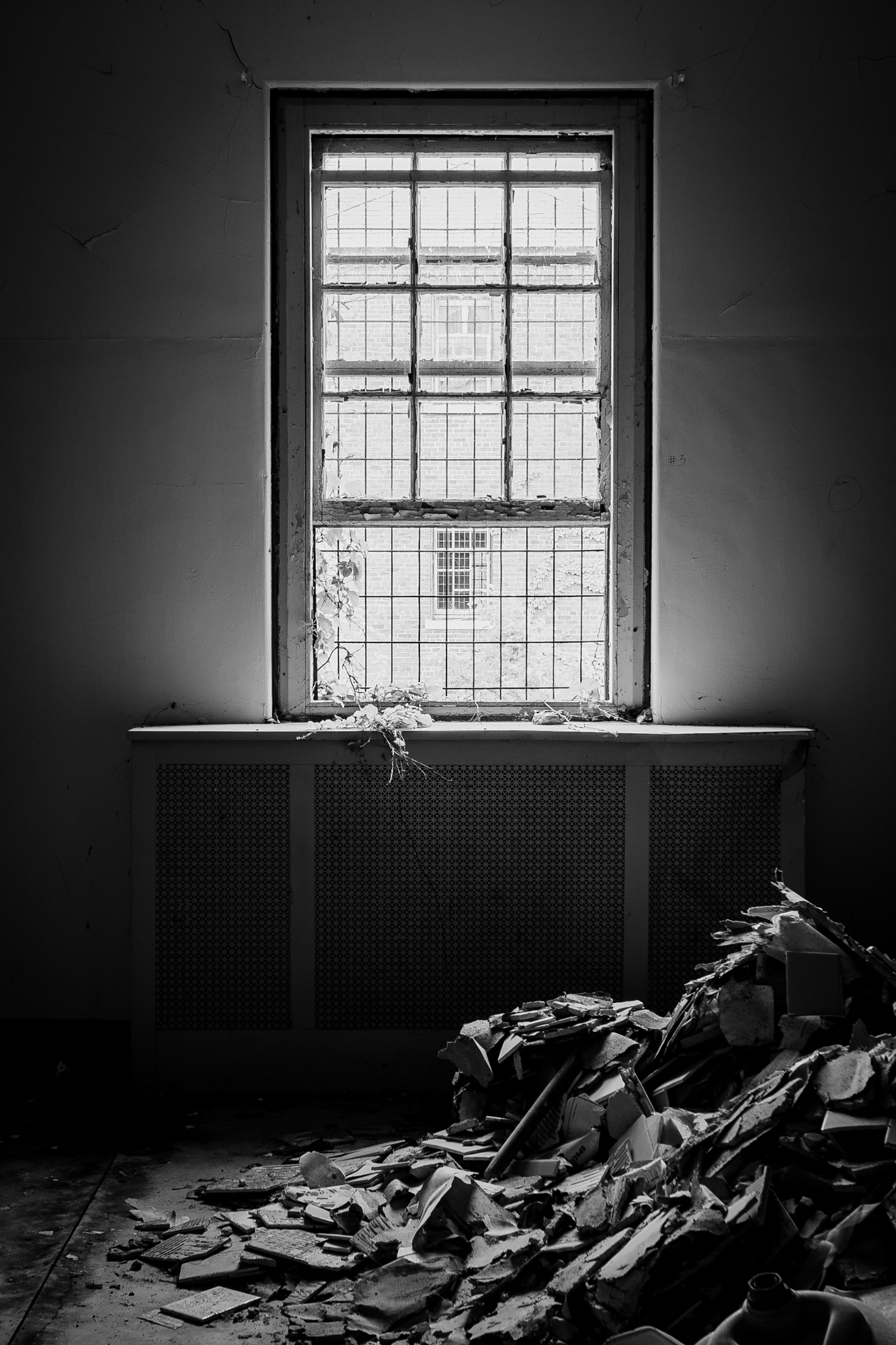 Window and crumbling plaster at Northampton State Hospital