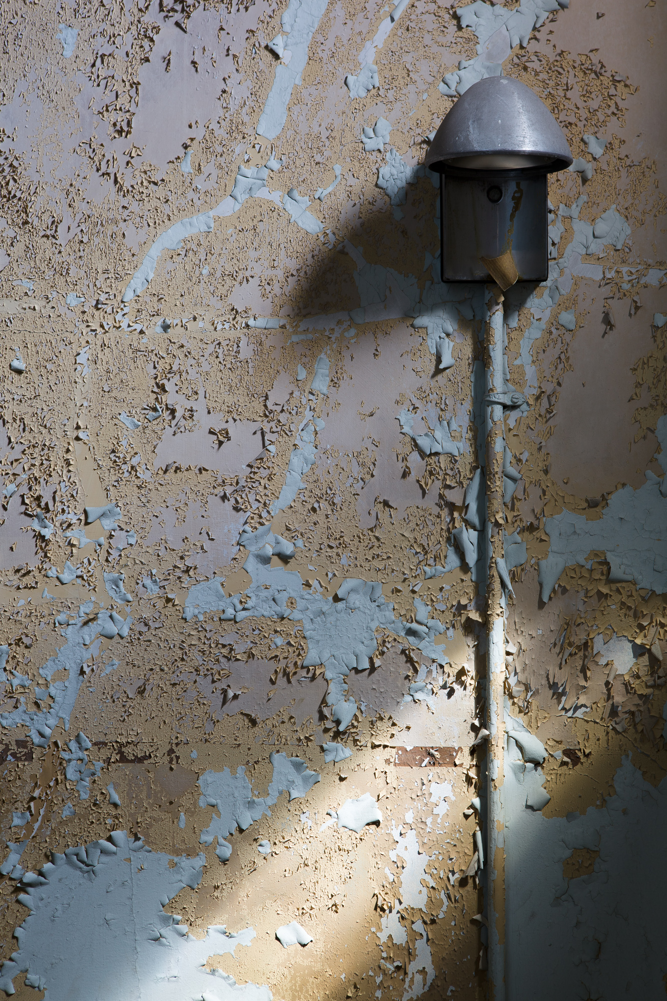 Peeling paint at Buffalo State Hospital