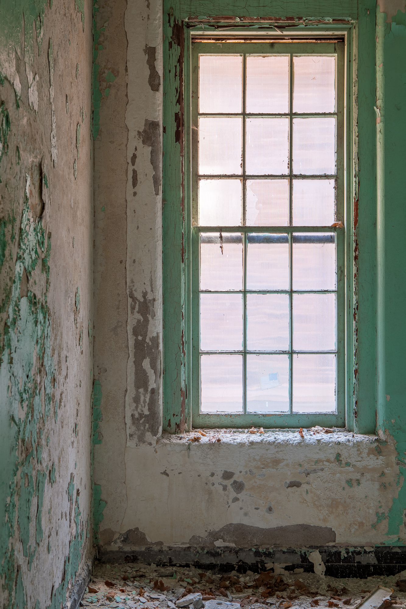 Window at Buffalo State Hospital