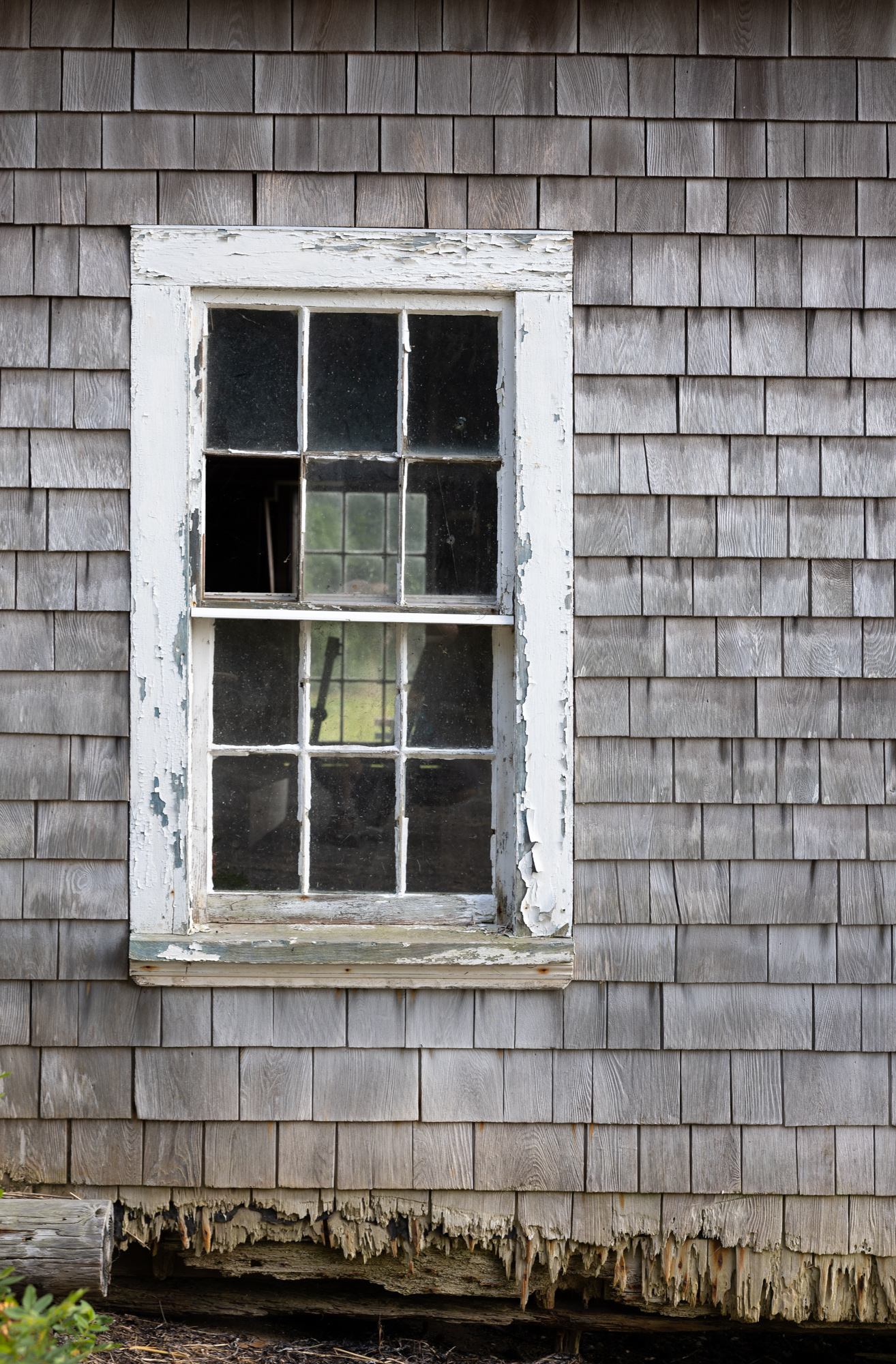 Decaying boathouse window in Truro, MA.