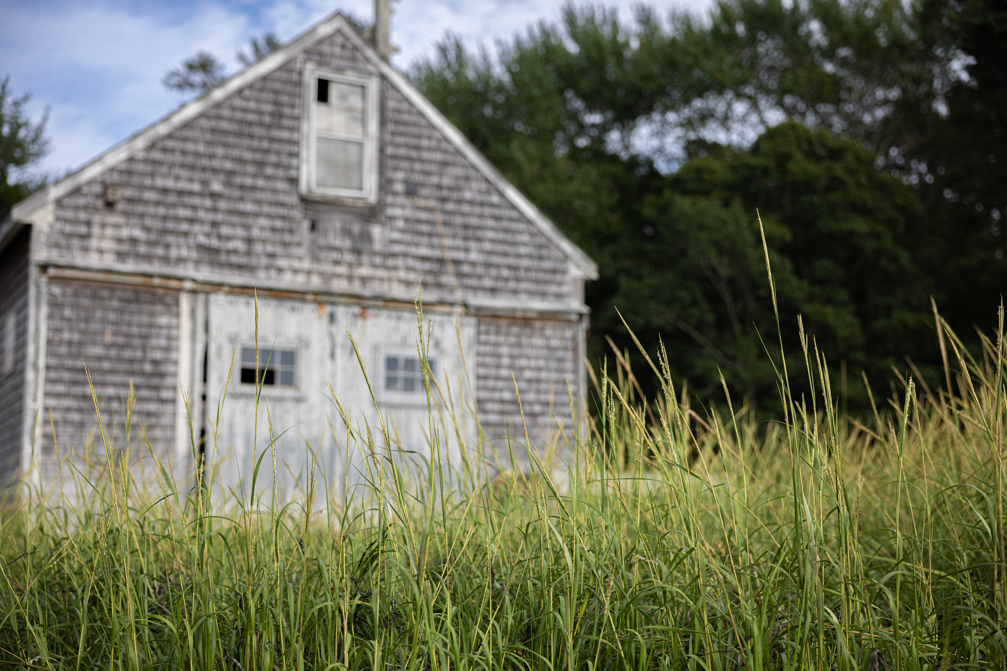 Boathouse and beach grass in Truro, MA.