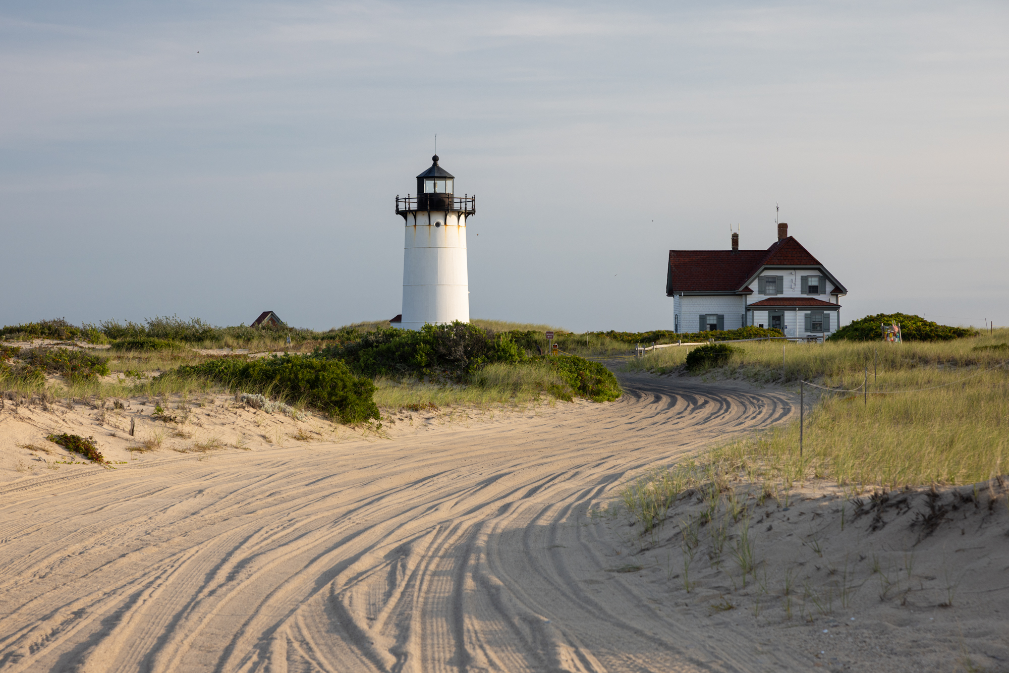 Cape Cod 2021
