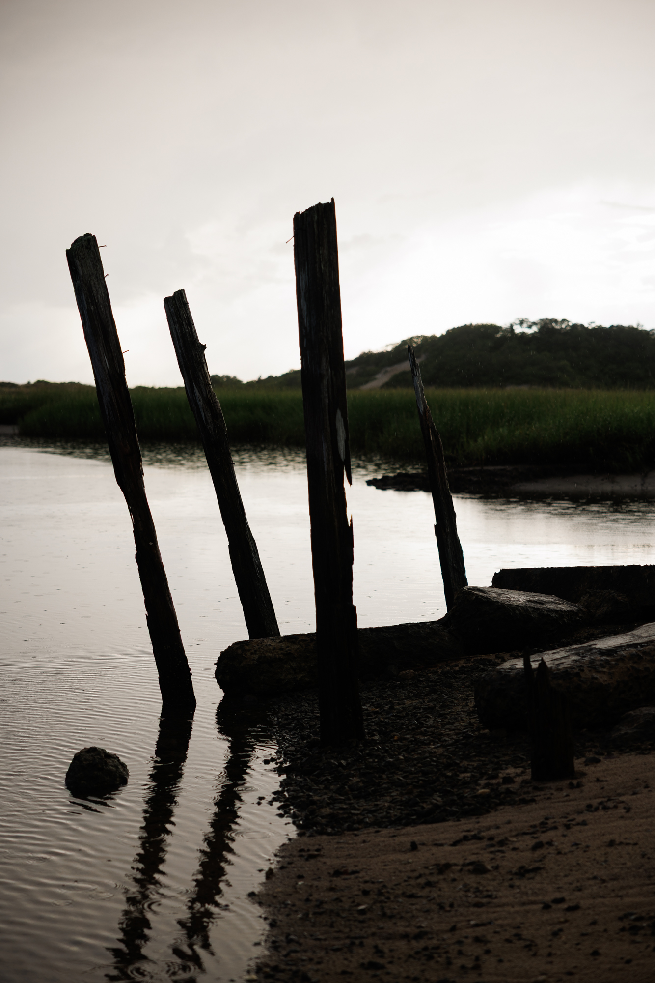 Old pilings in Provincetown, MA.