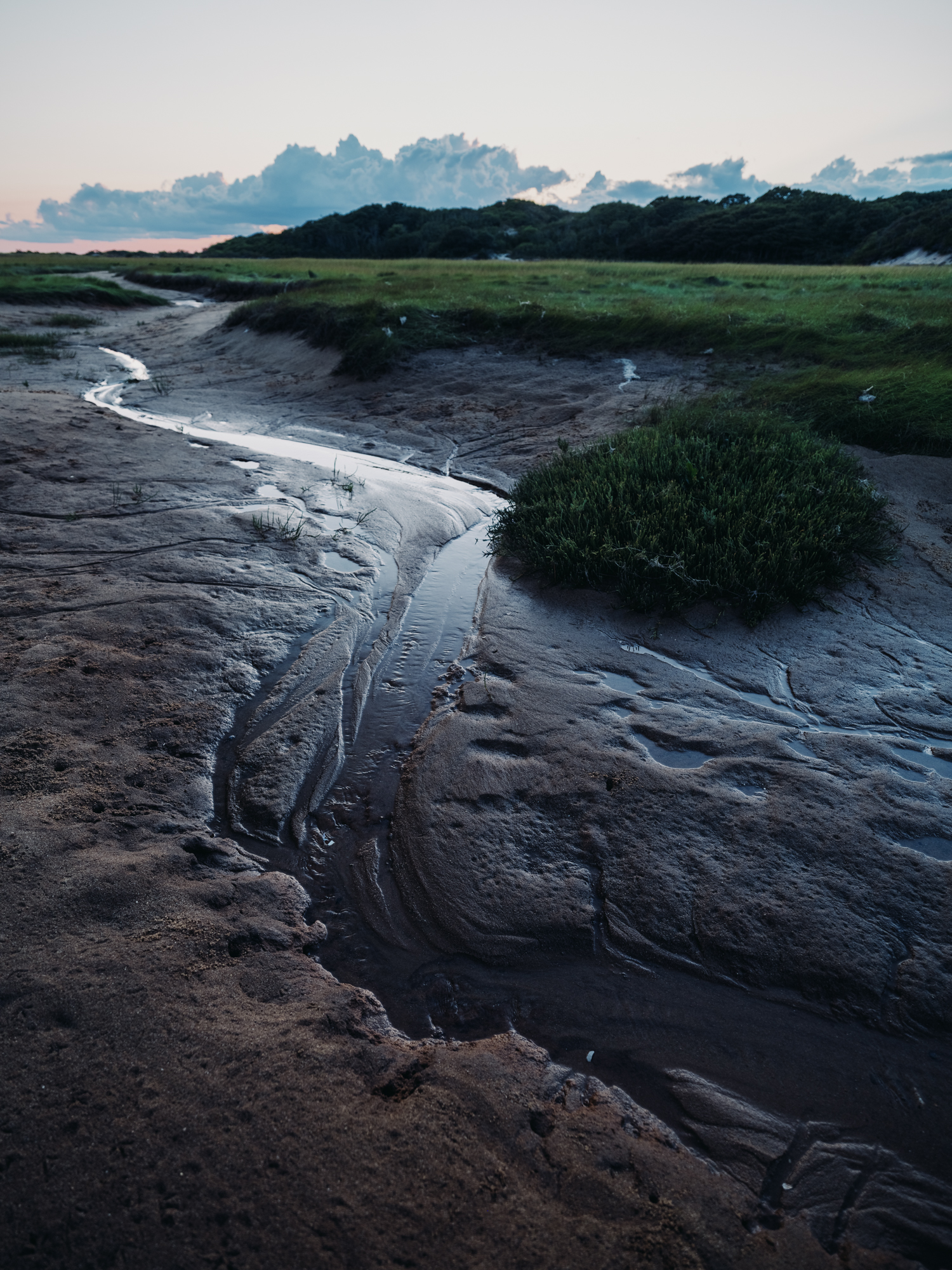 Image of a salt marsh at low tide in Provincetown Massachusetts.