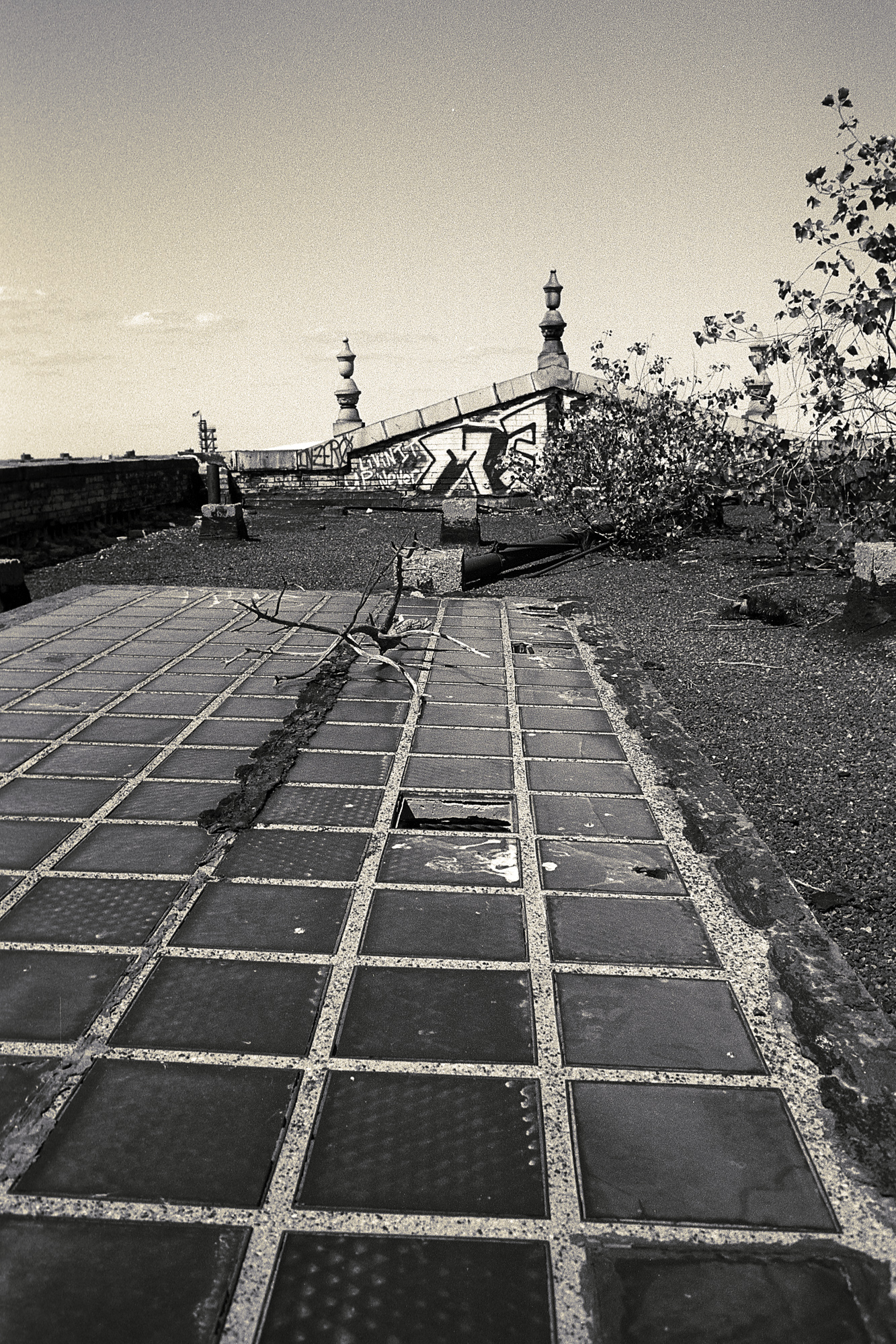 Roof of he Wurlitzer building in Detroit, MI