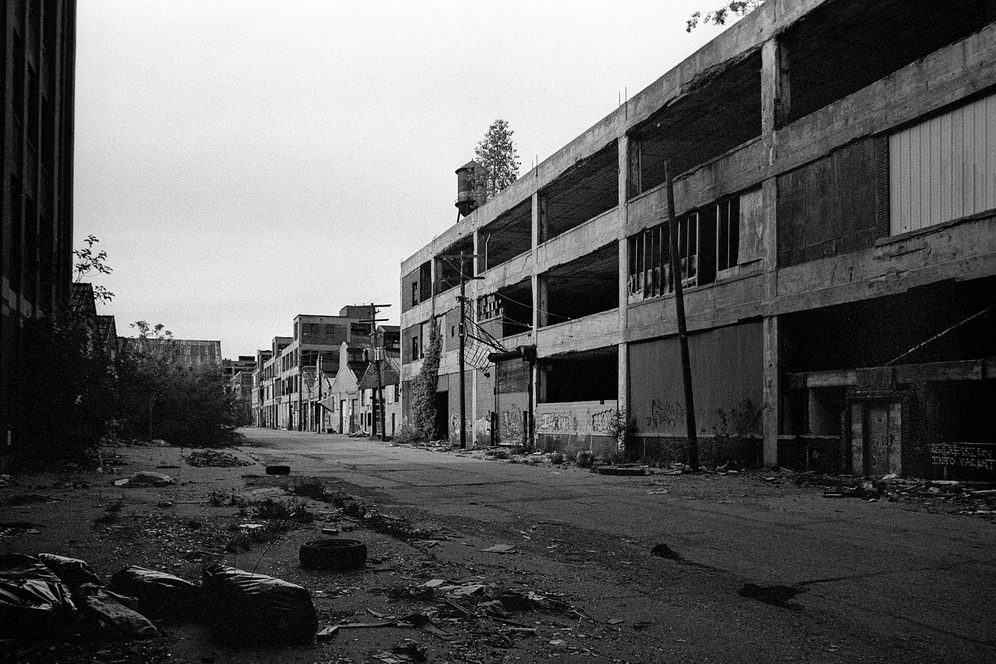 Street running through the abandoned Packard Plant in Detroit, MI.