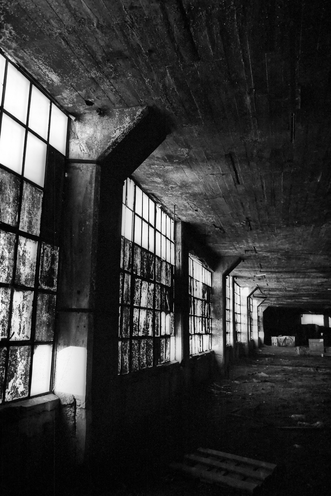 Interior of the Packard Plant in Detroit, MI.