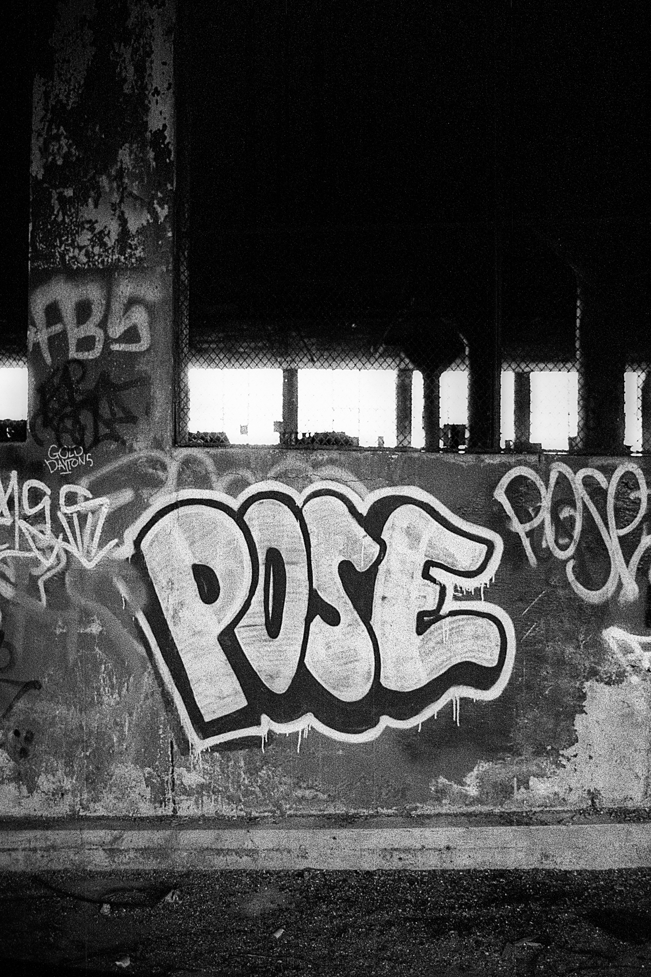 POSE graffiti at the Packard Plant in Detroit, MI.